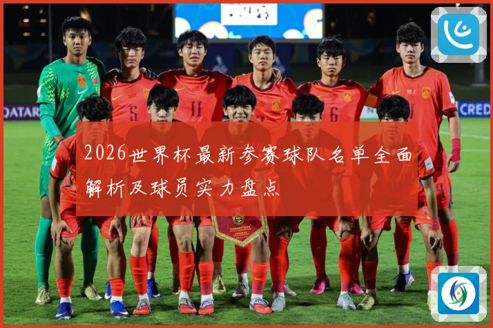 2026世界杯最新参赛球队名单全面解析及球员实力盘点