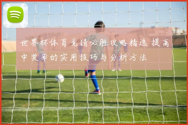 世界杯体育竞猜必胜攻略精选 提高中奖率的实用技巧与分析方法