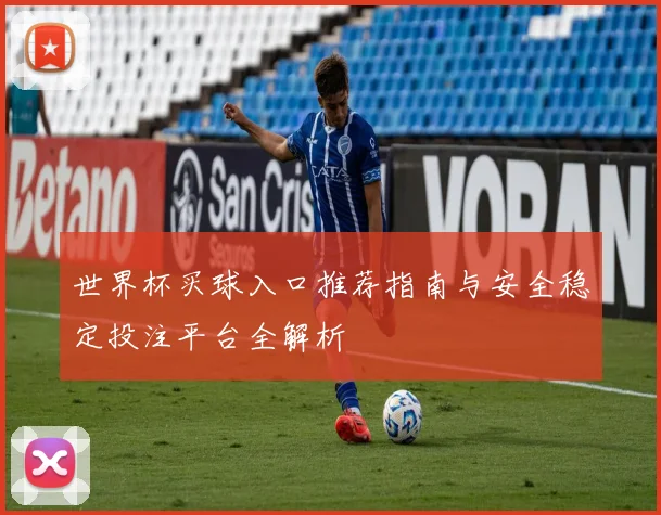 世界杯买球入口推荐指南与安全稳定投注平台全解析