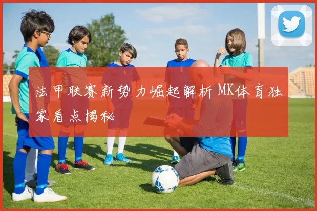 法甲联赛新势力崛起解析 MK体育独家看点揭秘