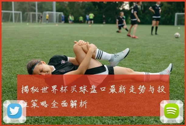揭秘世界杯买球盘口最新走势与投注策略全面解析