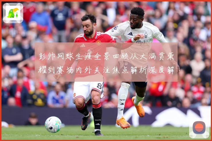 彭帅网球生涯全景回顾从大满贯荣耀到赛场内外关注焦点解析深度解读