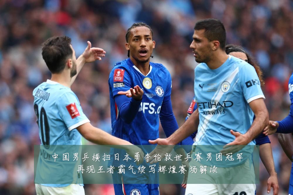 中国男乒横扫日本勇夺伦敦世乒赛男团冠军再现王者霸气续写辉煌赛场解读