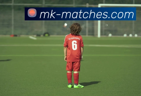 MK体育平台展示图