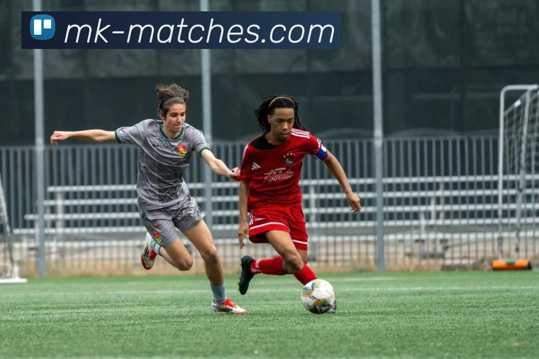 MK体育直播助力赛事全程高清呈现尽享全球体育盛宴